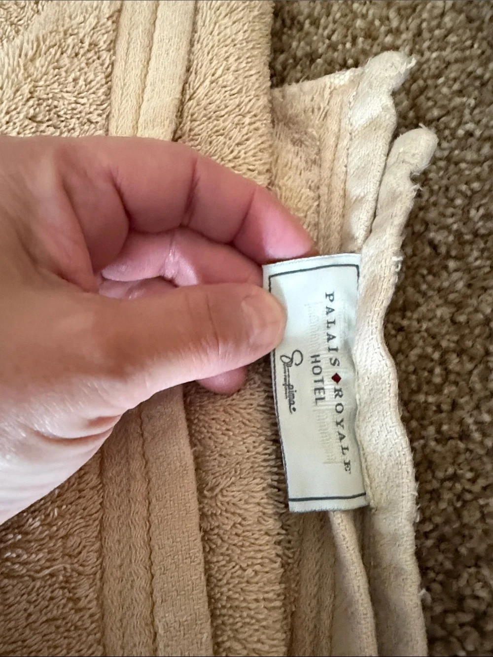 Plush Beige Bath Towels - Set of 2
